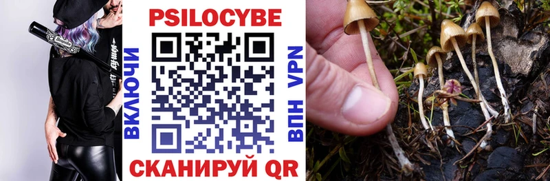 Псилоцибиновые грибы Magic Shrooms  как найти закладки  мега как зайти  Назрань 