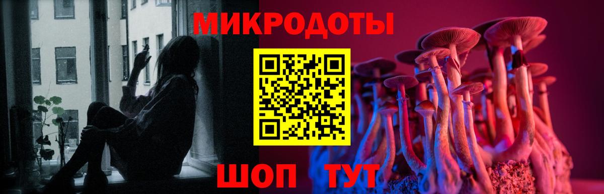Назрань  Галлюциногенные грибы Magic Shrooms  Вход с VPN 