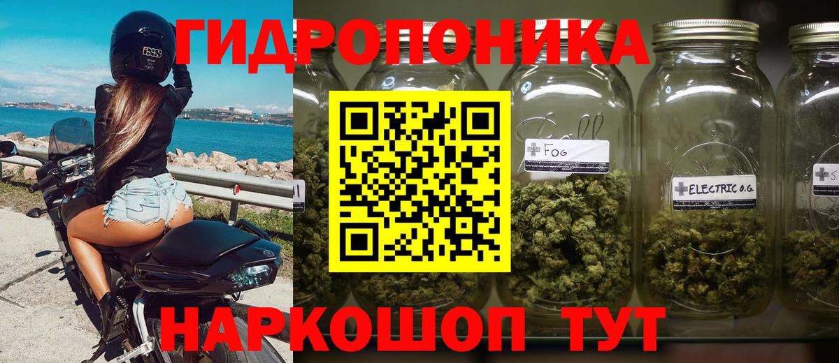Канабис гибрид Назрань